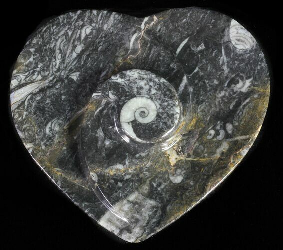 Heart Shaped Fossil Goniatite Dish #61284